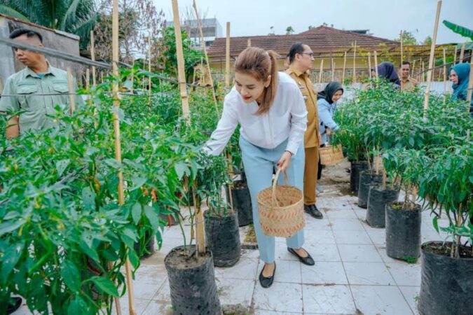 Ny Kahiyang memanen cabai merah di Jalan Karikatur Kelurahan Pulo Brayan Darat II, Kecamatan Medan Timur, Senin (12/2)