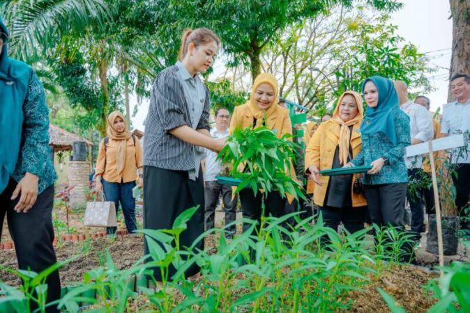 Ketua TP PKK Kota Medan Ny Kahiyang Ayu M Bobby Afif Nasution memberikan apresiasi atas suksesnya pengoptimalan dan pemanfaatan lahan tidur atau pekarangan yang dilakukan Kelurahan Pulo Brayan Bengkel Baru, Kecamatan Medan Timur sehingga menjadi warung, lumbung hidup dan apotek hidup. 